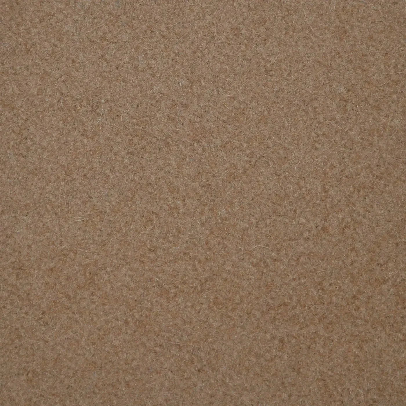 Camel Melton Wool Coating