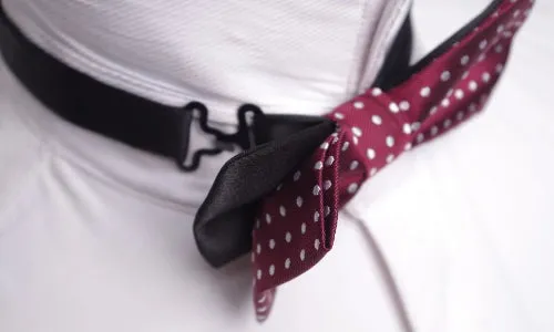 Classy Men Red Polka Dot Bow Tie