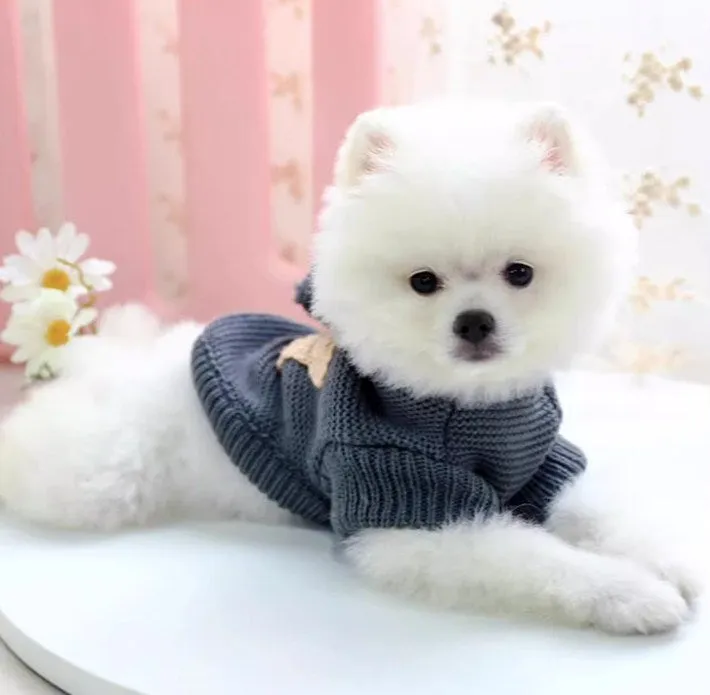 Dog knitted hoodie (2 colors)