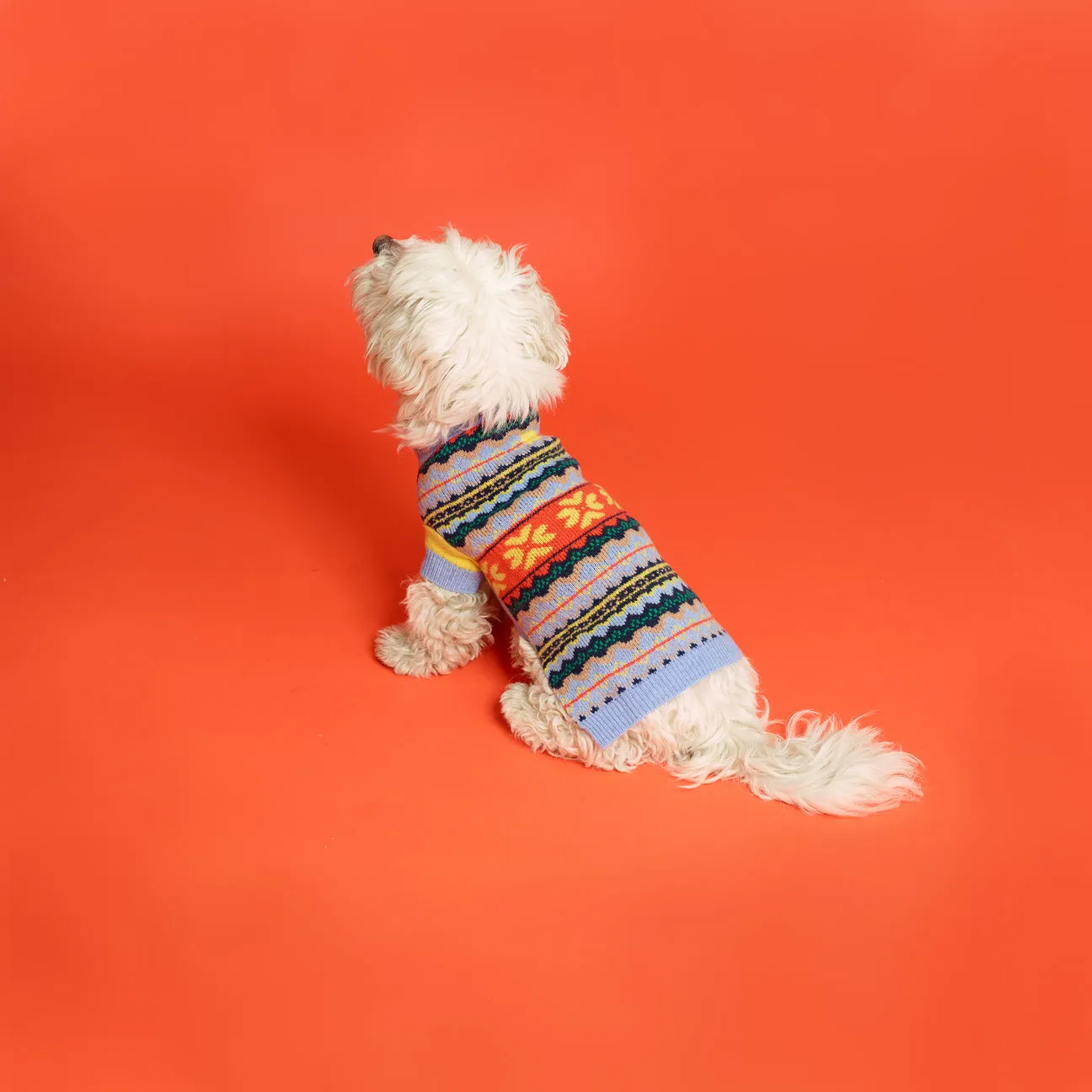 Fairisle Blue Floral Sweater | Dog Sweater