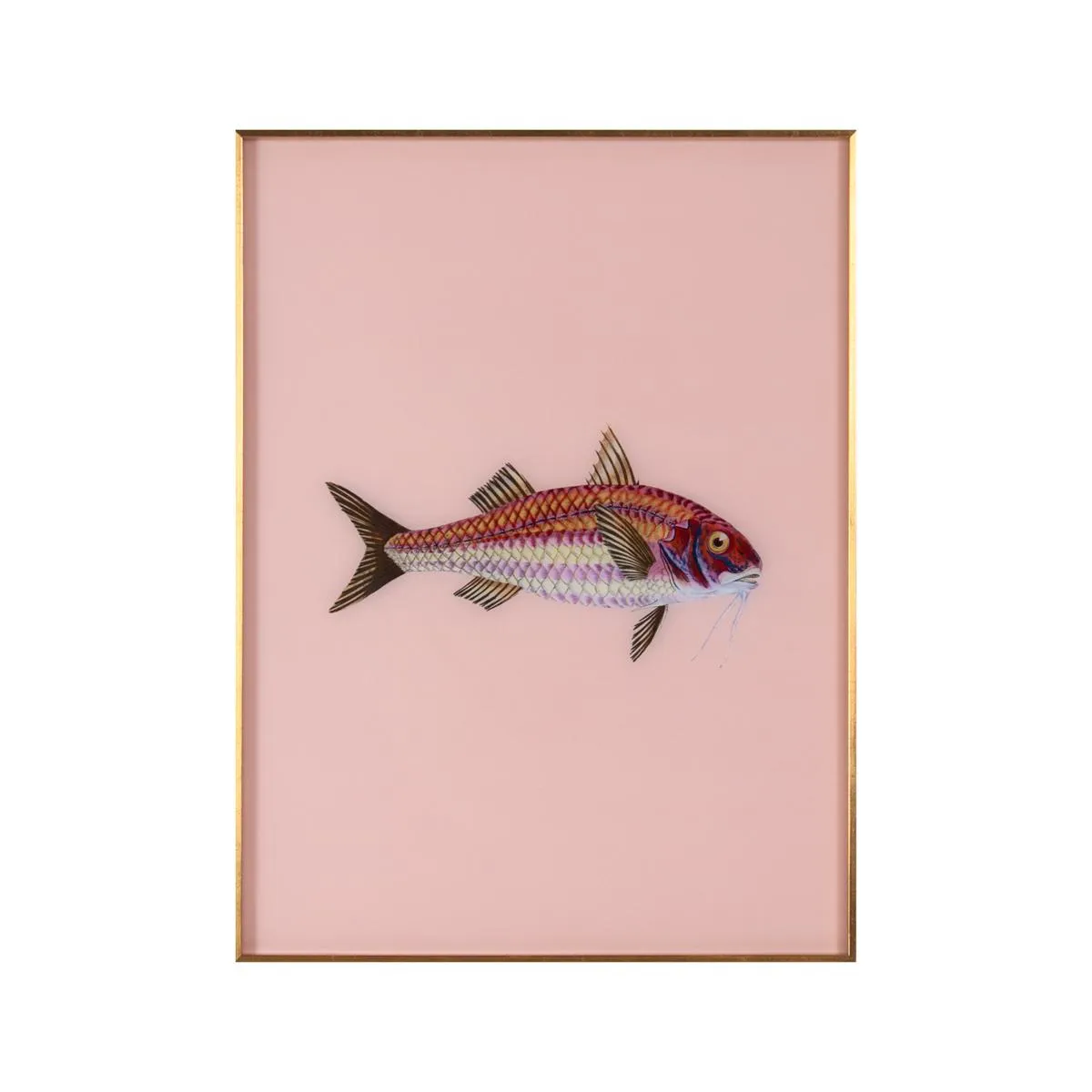 Framed Fish Print in Light Coral