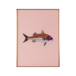 Framed Fish Print in Light Coral